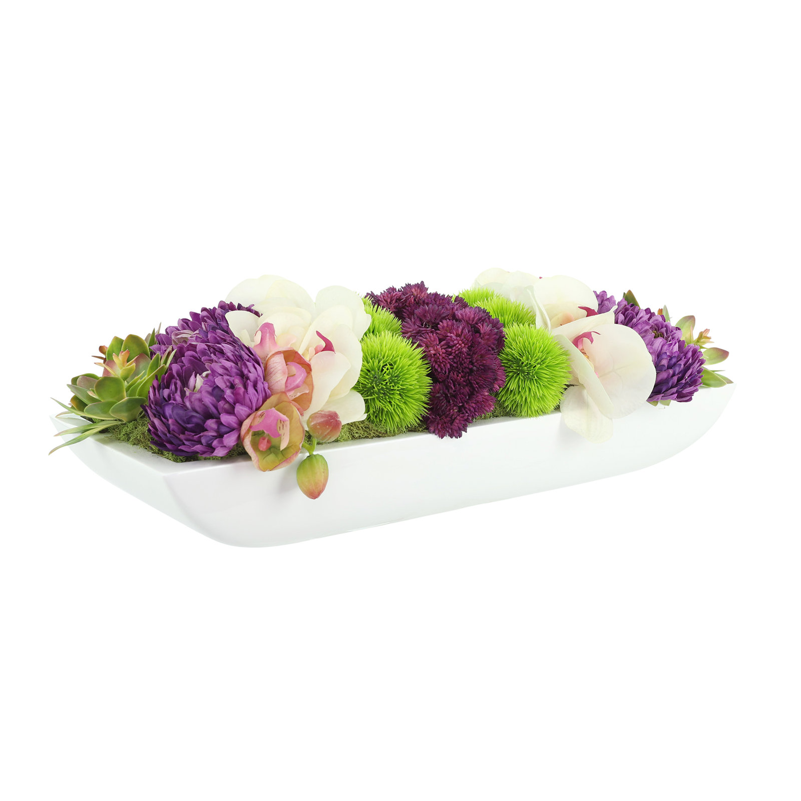 Adelina Orchid and Succulent Arrangement, 6.5" H x 19.5" W x 8" D