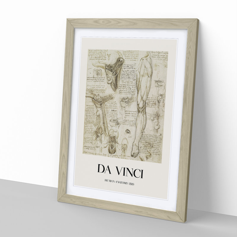 Human Anatomy Vol.7 by Leonardo Da Vinci - Picture Frame Drawing, Oak Framed, 36cm H x 27cm W x 2cm D