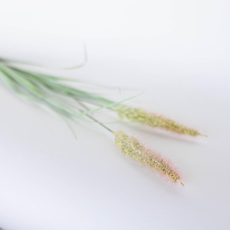 Tige d'oignon, plantes artificielles et arbres