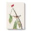 Louisiana Water Thrush - Wrapped Canvas Painting-55365542