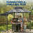 8x5 Grill Gazebo with Adjustable Dual Side Awnings, 2-Tier BBQ Shelter with Shelves Hooks LED Lights Ceiling Hook, Steel Frame BBQ Canopy, Gray-125976693