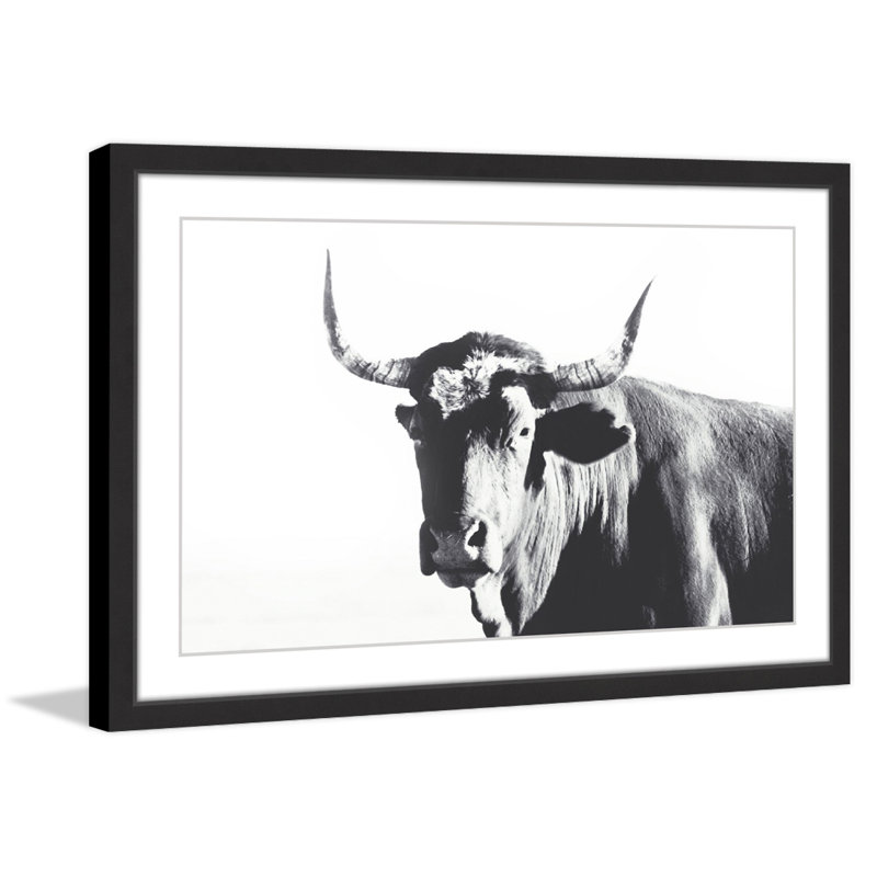 Steer Face - Single Picture Frame Painting, 61cm H x 91cm W x 3.81cm D, Black