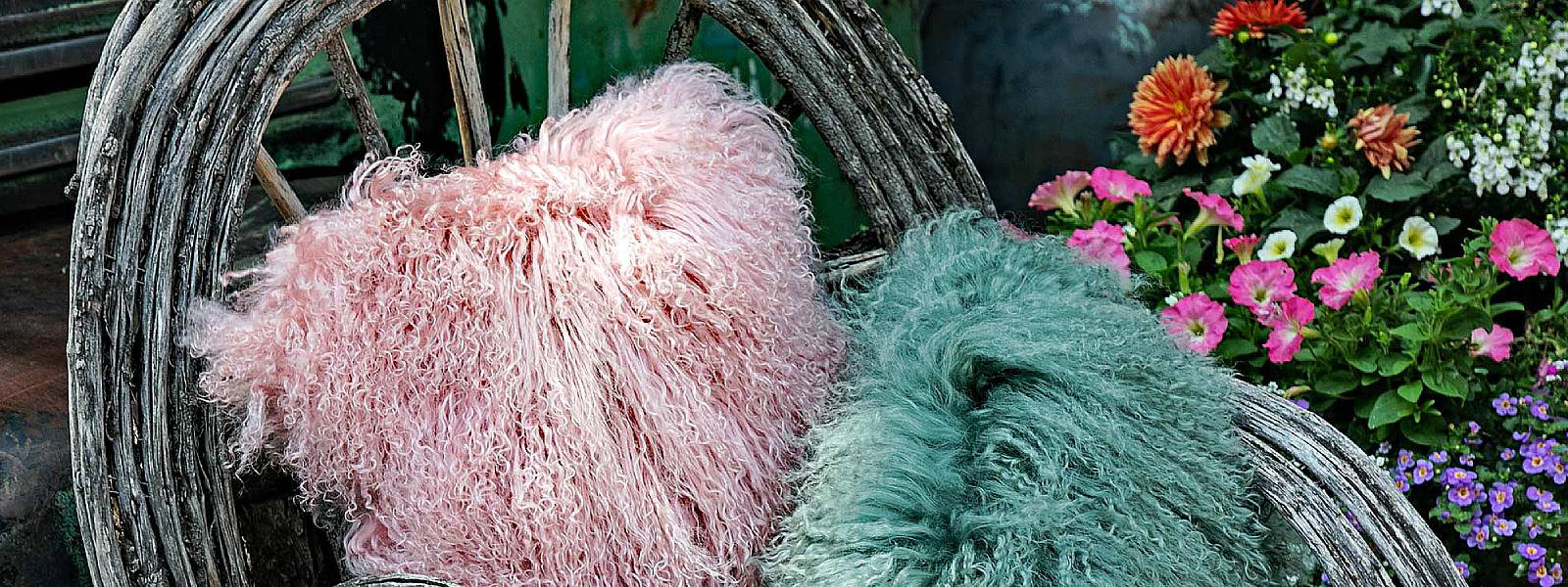 Sheepskin, mother nature's most versatile fibre - Fibre by Auskin