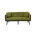 Velvet Olive Green