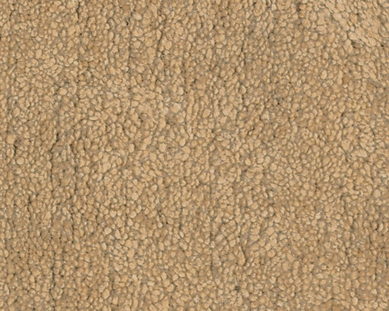 Sprouts Wool Area Rug in Beige, Rectangle 9' x 12'