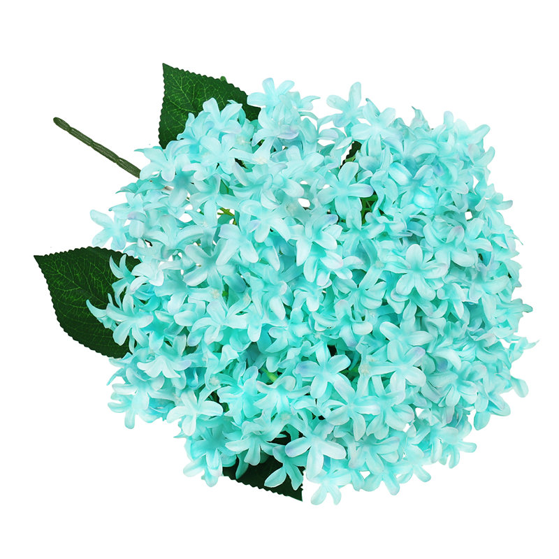 Étoile, hortensia et fleurs, Bleu Tiffany