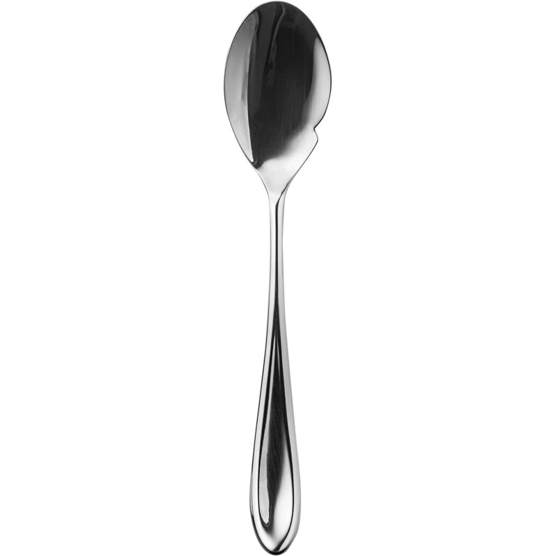 Forma Stainless Steel Tasting Spoon