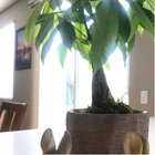 Rosalind Wheeler Versailles Bunny / Rabbit Animals Garden Statue ...