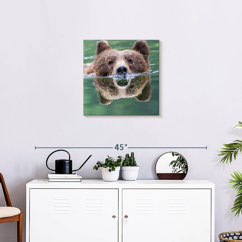Aadvi Grizzly Bear Swimming Reflection
