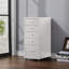 Eulus 28cm Wide 5 -Drawer File Cabinet-780381028