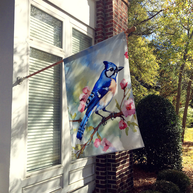 Drapeau bleu Jay House_DAC3186