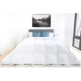 Gyor Extra Warm 600 Fill Power White Goose Down 233TC Comforter