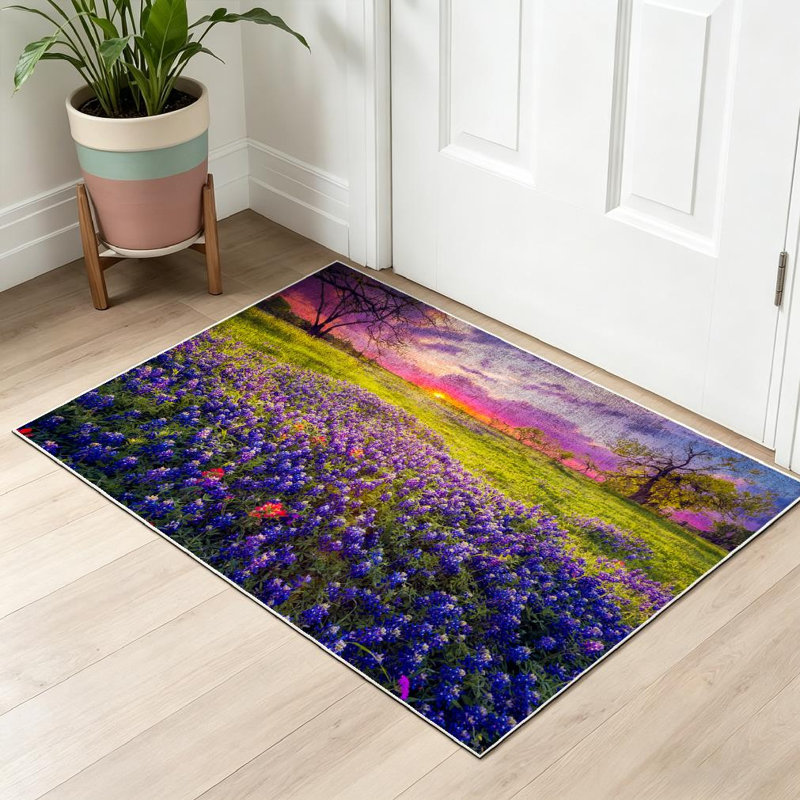 Tapis d'intérieur lavable à la machine Clear Sunrise Texas