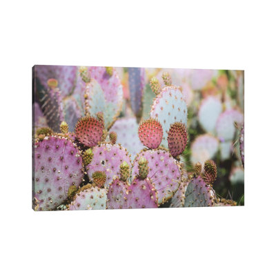 Cotton Candy Cacti 1 Piece Wall Art on Canvas