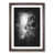 Walnut Framed selected