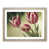 Oak Frame