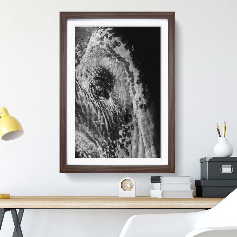 Watchful Elephant - Framed Print, 65cm H x 48cm W x 2cm D, Walnut Framed