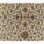 Tapis doré et ivoire de haute qualité noué à la main