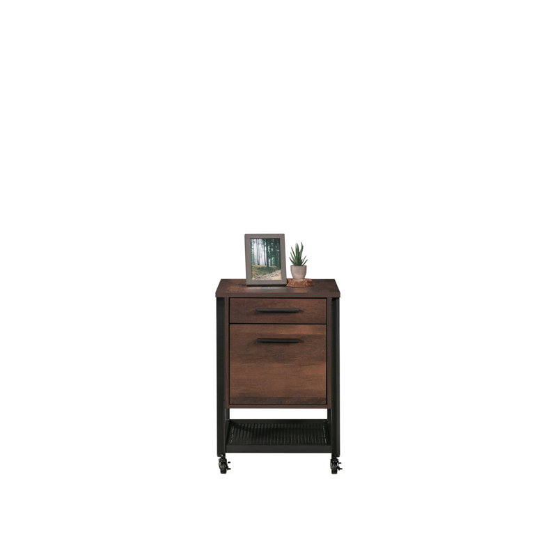 Pedestal File Cabinet with Large Drawers, Antique Dark Oak finish