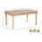 Aarohi Solid Wood Dining Table-1887053582-1887053579