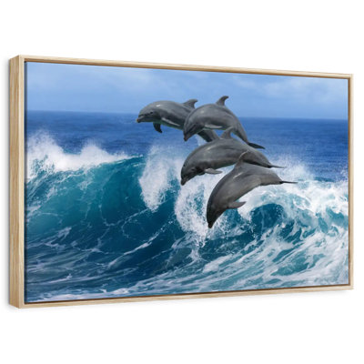 Dauphins à Hawaï