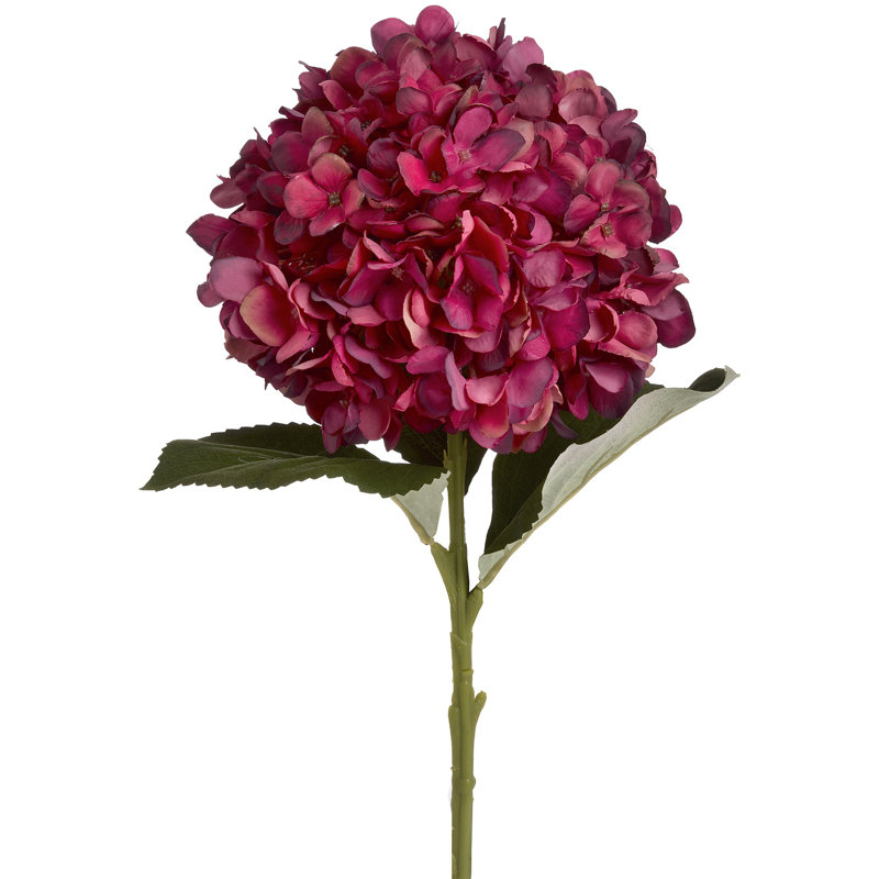 Hydrangea Arrangement