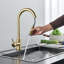 Belfry Kitchen Serita Pull Out Kitchen Faucet