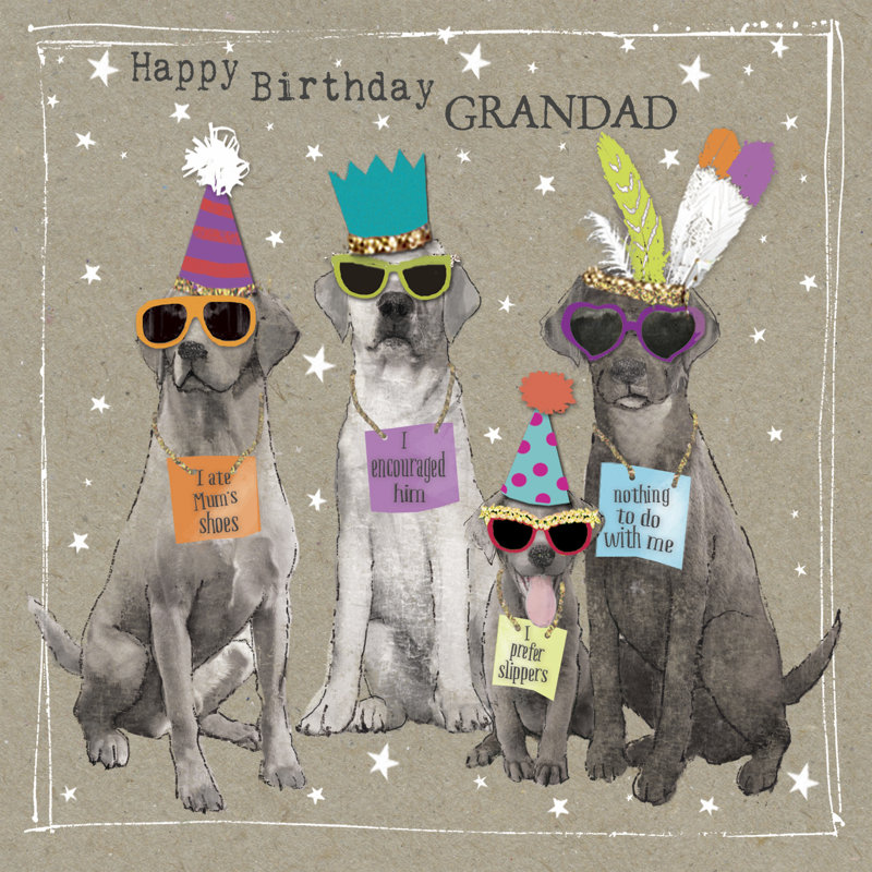 Fancypants Cool Dogs V, H 12 po x l 12 po x P 1,25 po