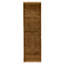 Wool Oriental Area Rug in Gold