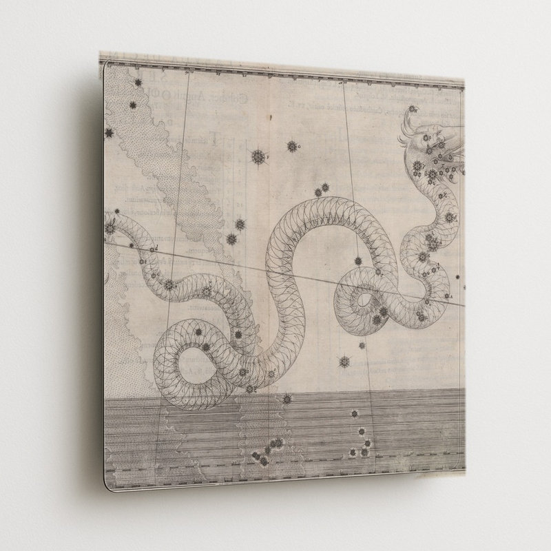 Serpens (Uranometria, 1603) — Décoration murale carrée en métal, H 16 po x l 16 po