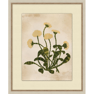 Friendly Flora 2