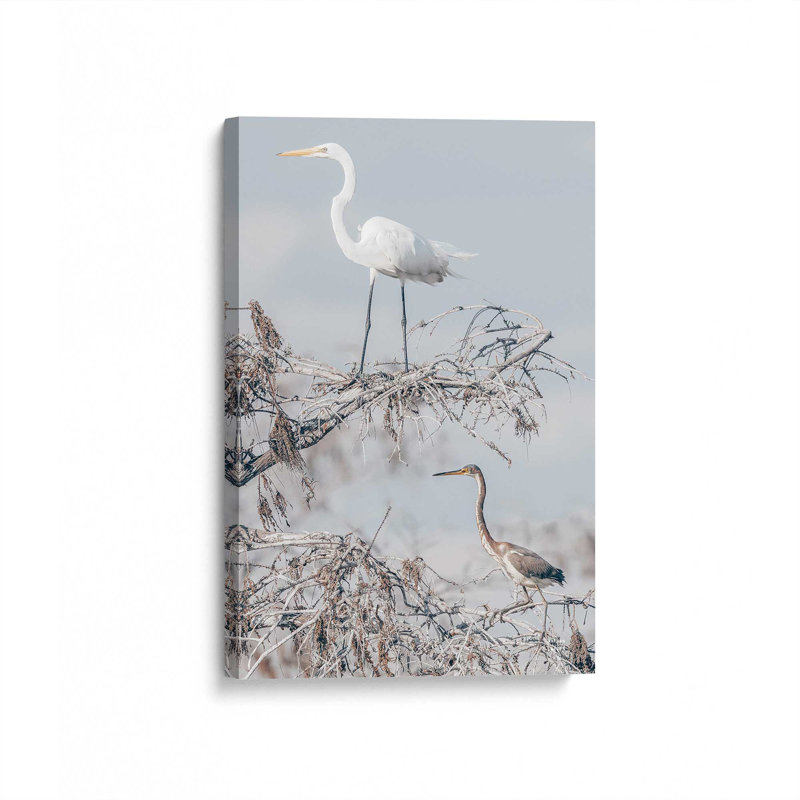 «Everglades pair» par Nathan Larson, reproduction d'art sur toile, H 18 po x l 12 po, Toile tendue, Ne s’applique pas