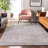 Premium Machine Washable Prisco Silver Rug-91971264