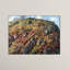 Claude Monet - Wrapped Canvas Painting-21212922