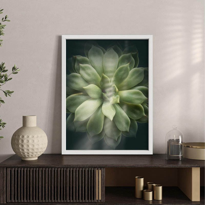 Petit vert riche, Echeveria, plante grasse, tranquillité, Illustration de la nature, petite œuvre d'art, Blanc
