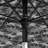 Austan 108'' Market Umbrella-87622412