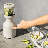 Beast Blender Plus-90738579