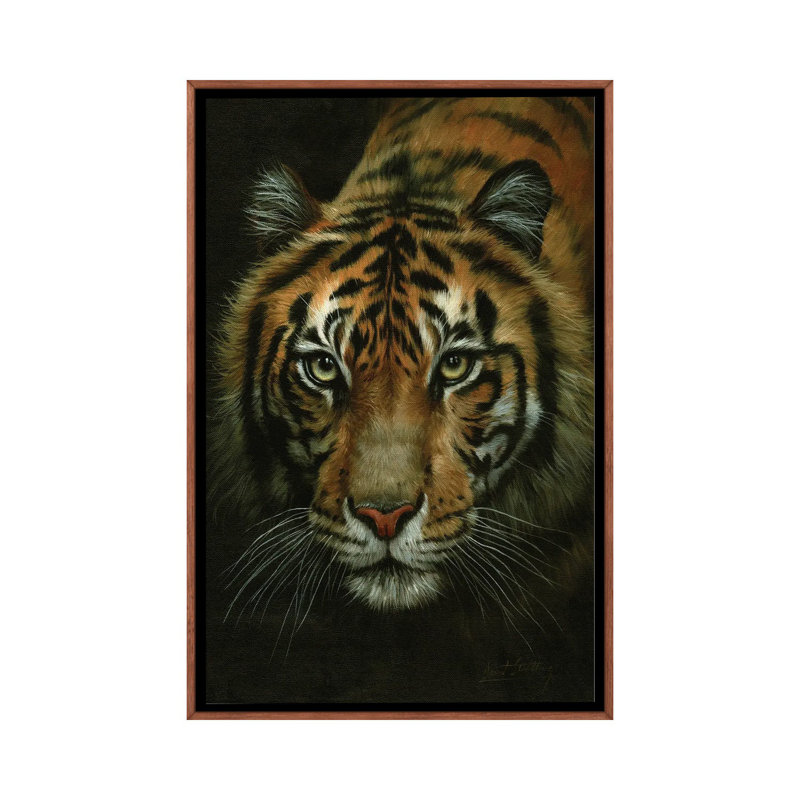Tiger Portrait by David Stribbling - Print on Canvas, Brown Framed, 152.5 cm H x 101.5 cm W