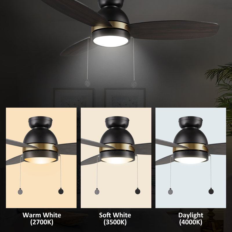 Ceiling Fan with LED Lights