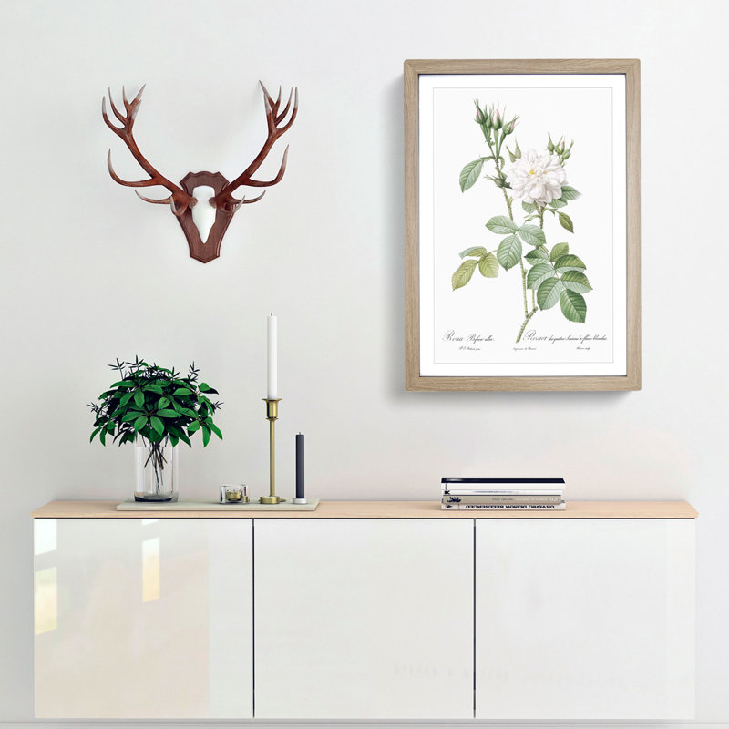 Autumn Damask Rose by Pierre-Joseph Redoute - Framed Print, Oak Framed, 33cm H x 24cm W x 2cm D