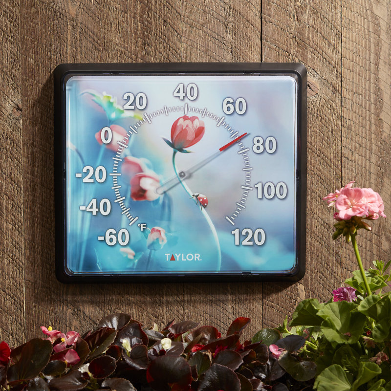 Taylor 12"x14" Ladybug Dial Thermometer