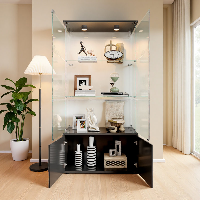 Glass 78.51 cm W Display Cabinet, Black
