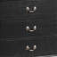 Charmant coffre de rangement traditionnel noir-94868445