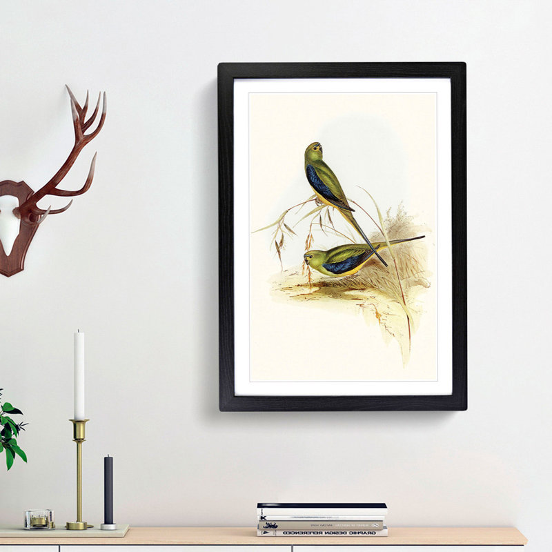 Blue Banded Grass Parakeets by Elizabeth Gould - Picture Frame Painting Print, 36cm H x 27cm W x 2cm D, Black Framed
