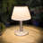 11.02'' Solar Table Lamp Outdoor Indoor - 3 Lighting Modes, Eye-Caring LED Waterproof Cordless Solar Desk Lamp With Pull Chain-1781115814-1781115815