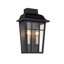 Lanterne murale d'extérieur 2 lumières Ellington Transitional