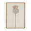 Poppy Crema Painting by Paul Meyer-189358188