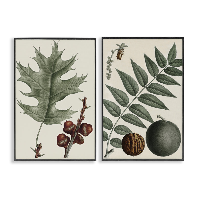  «Tree Leaves & Nuts», ensemble de 2 estampes numériques par Graffi * Tee, H 18 po x l 12 po, Giclée encadrée noir minuit