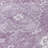  Malchow Non-Slip Indoor Outdoor Door Mat-906996418
