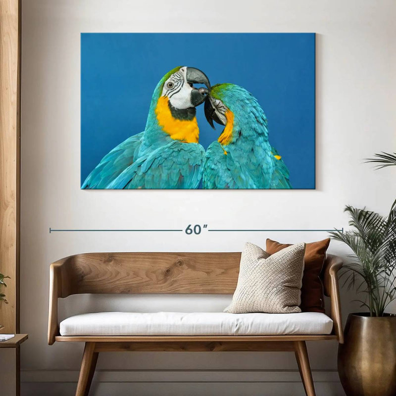 Brampt Macaw Love, 32'' H x 48'' W